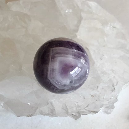 �ڥ쥢�ۥ��ȥ饤�ץ��᥸���ȡʥ����ץ��᥸���ȡˡ��ݶ̡ʳ�������ƥꥢ�ˡ���¤Ĥ���NO.3474