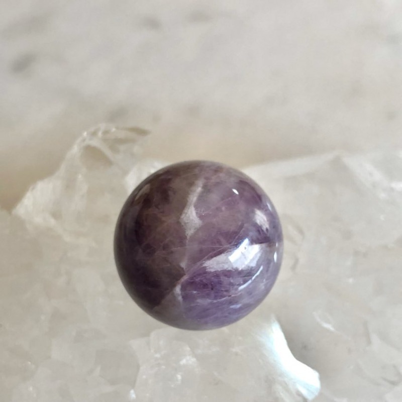 �ڥ쥢�ۥ��ȥ饤�ץ��᥸���ȡʥ����ץ��᥸���ȡˡ��ݶ̡ʳ�������ƥꥢ�ˡ���¤Ĥ�����NO.3491