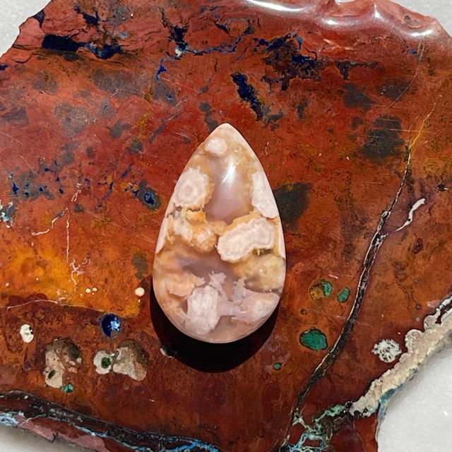 �ڥ쥢�����Сۺ�����ʥ������Υ��ˡ�����������֥롡NO.3507���ʥݡ����դ���