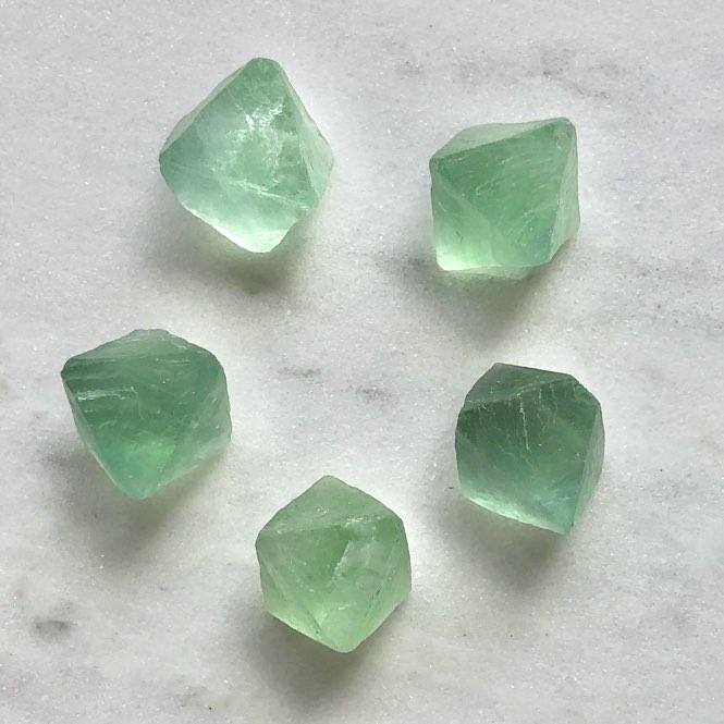 �����Сۥ��꡼�󡡥ե����饤�ȡ�Ȭ���Ρ����С���3539