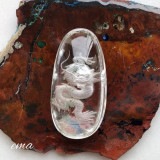 ��Ķ���Сۥ����ǥ󥯥����ġ�ζ��Ħ�����ꡡ����֥�ʷ�ʤ���