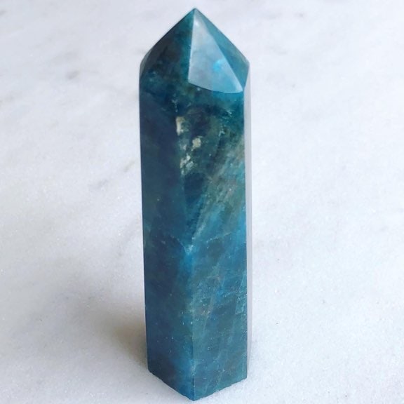 �����Сۥ֥롼���ѥ����ȡ��ݥ����