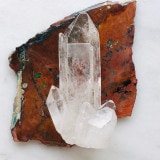 ��Ķ���Сۥߥʥ������饤���������徽�ݥ���ȡʥ졼�������ꥹ����ˡ�NO.3961