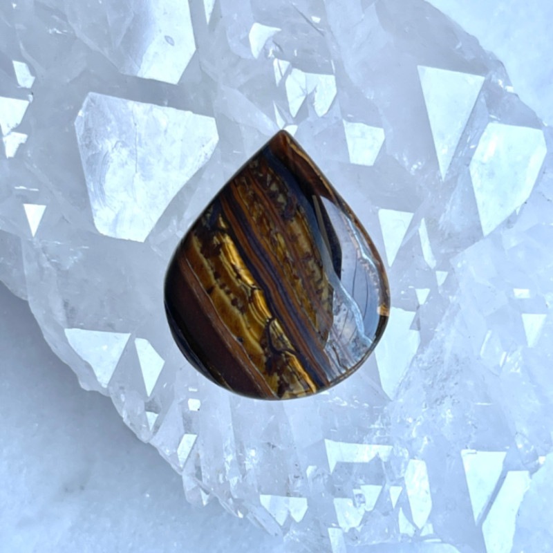 �ڸͱ����Ҥˤƥ����塼���ȡۡ�Ķ���Сۥ��������������󡡥���֥�ʼ�����