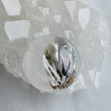 �ڿ���˥��͡������ͤο����ǥ����塼���ȡۡ�Ķ���Сۿ徽���ݶ̡�ľ��29�������������