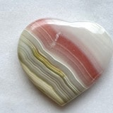 �ڿ���˥��͡������ͤο����ǥ����塼���ȡۡ�Ķ���Сۥԥ󥯥��˥������ϡ��ȡ�������