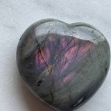 �ڿ���˥��͡������ͤο����ǥ����塼���ȡۡ�Ķ���Сۥޥ��󥿥��顼���ԥ󥯡��ѡ��ץ롡��֥�ɥ饤�ȡ��ϡ��ȡ�������