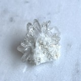 �ڥ쥢�ۡ�Ķ���Сۥ֥饸�뻺���ե��徽�ʥ�����ɥ��Ĥ��ˡ��������