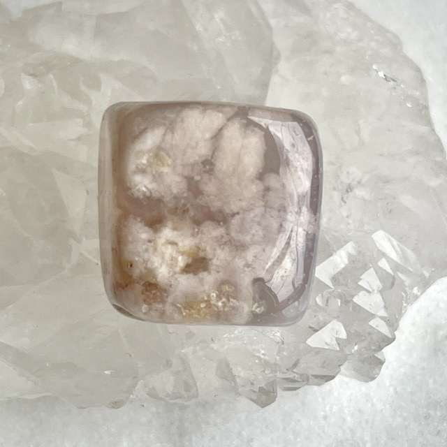 �ڥ쥢�����Сۺ�����ʥ������Υ��ˡ����塼�ַ�������֥롡NO.1