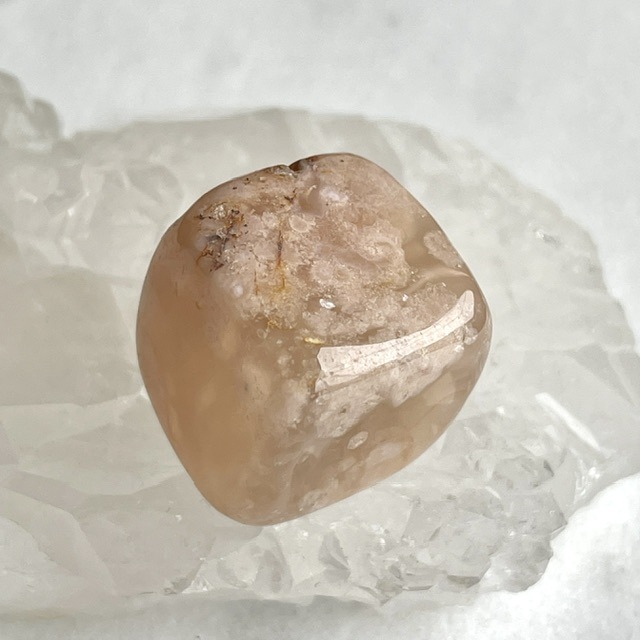 �ڥ쥢�����Сۺ�����ʥ������Υ��ˡ����塼�ַ�������֥롡NO.2