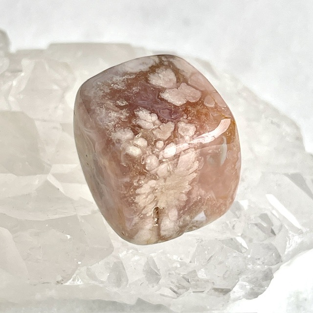 �ڥ쥢�����Сۺ�����ʥ������Υ��ˡ����塼�ַ�������֥롡NO.3