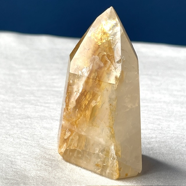 コロンビア産 ゴールデンヒーラーポイント01 コロンビア産 ゴールデンヒーラーポイント01 ゴールデンヒーラー