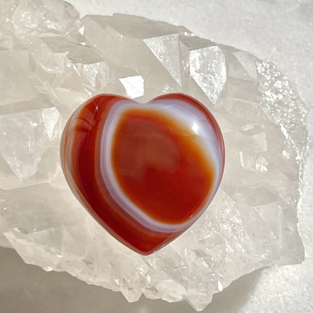 ��Ķ���Сۡڥ쥢�ۥ����ɥ��˥��������������ˡ��ϡ��ȹ����Τ�����С�����֥�ʥݡ����դ��ˡ�5066