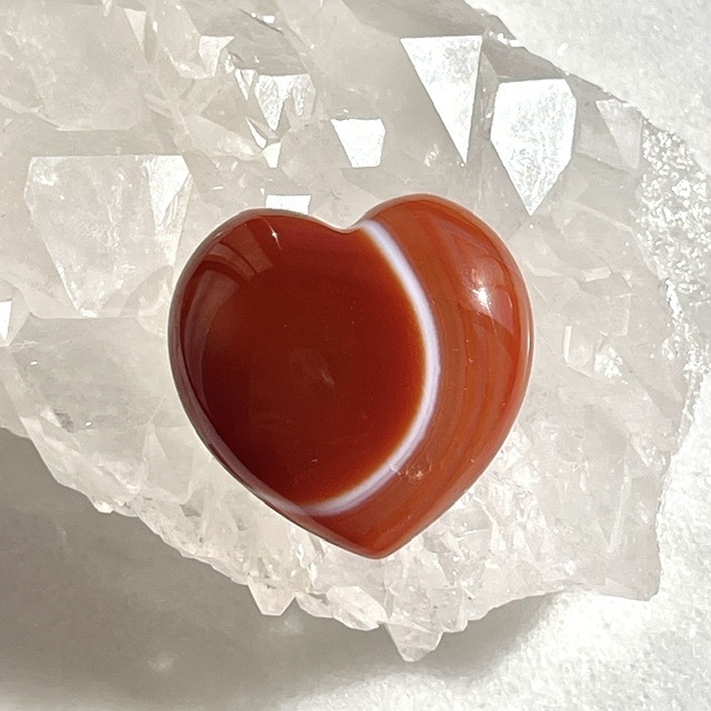 ��Ķ���Сۡڥ쥢�ۥ����ɥ��˥��������������ˡ��ϡ��ȹ����Τ�����С�����֥�ʥݡ����դ��ˡ�5067