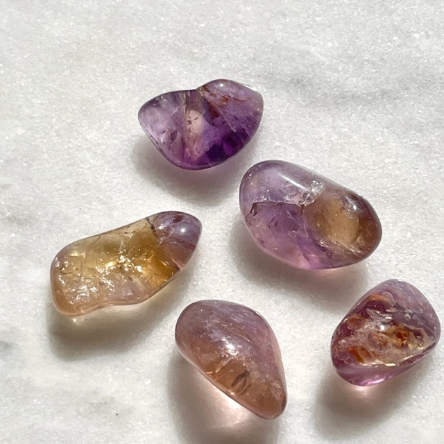 �������ۡ�Ķ���Сۥ���ȥ�󡡥���֥�ʥݡ����Ĥ���