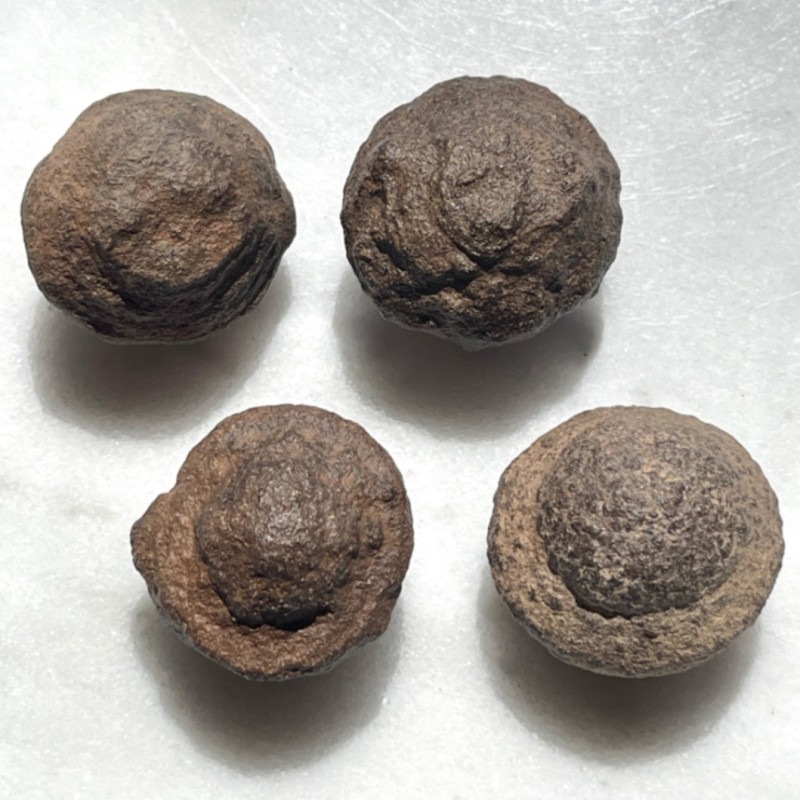 �������ۡڥ쥢�ۥ��㡼�ޥ󥹥ȡ������ˡ����С�5505��