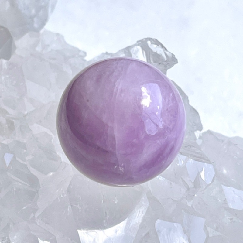 ��Ķ���Сۥʥ������ꥢ��������åĥ�������ĥ����ȡ��ݶ̡�ľ��22.2����