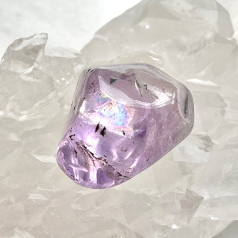 ��Ķ���Сۥ�٥�������᥸���ȡ�����֥롡(������)