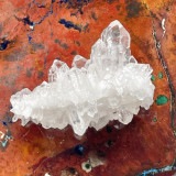 �ڥ쥢�ۡ�Ķ���Сۥȥޥ����󥵥������ե����ǥ󥯥����ġʿ徽�˥��饹�������������