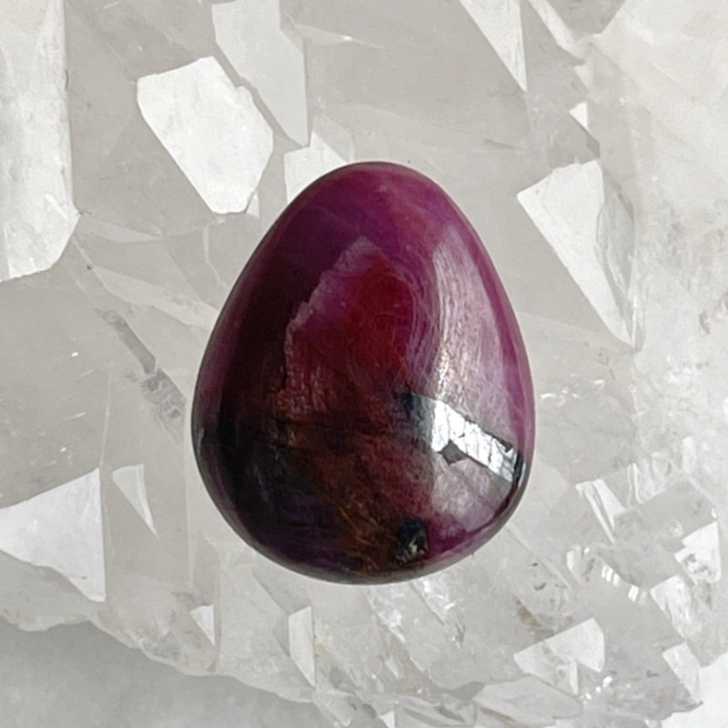 �ڥ쥢�ۡ����С����Ǯ����ӡ�������֥�ʥ֥�å��饤�ȤǶ����ָ����ޤ��ˡ��ʥݡ����դ��ˡ�5559