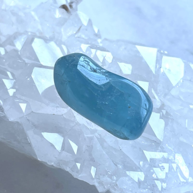 �ڸͱ����Ҥˤƥ����塼���ȡۡ����Сۥ������ޥ�󡡹���������С��ʥݡ����դ��ˡ�5686