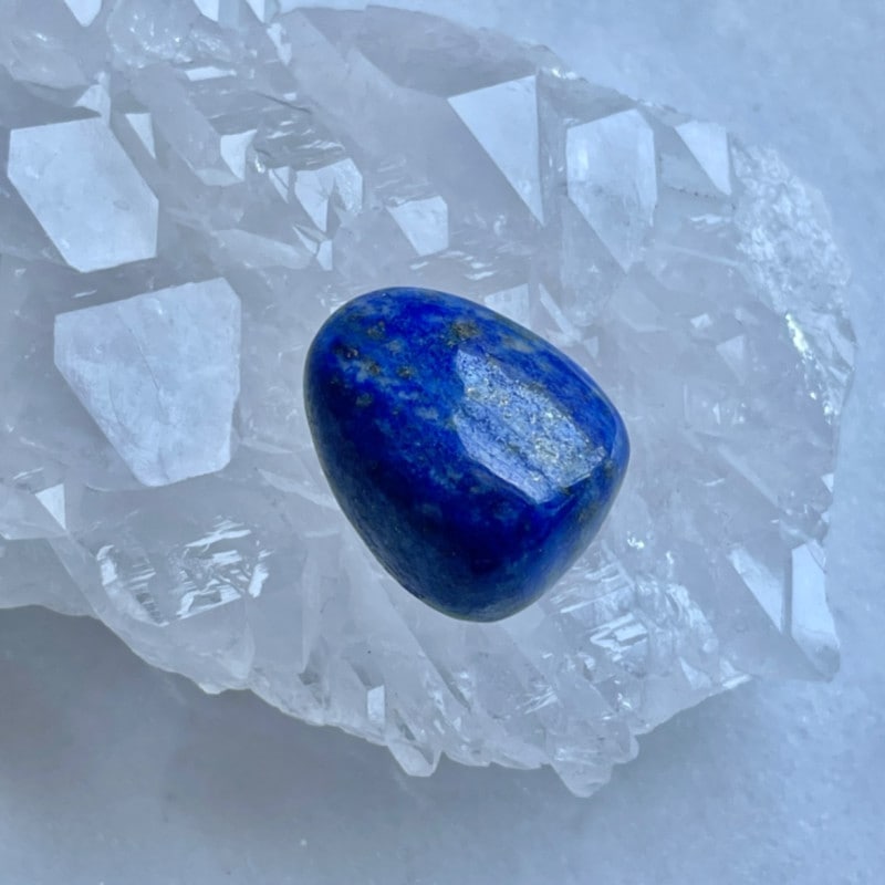 �ڸͱ����Ҥˤƥ����塼���ȡۡ����Сۥ�ԥ��饺�ꡡ��˾ã���Τ�����С�5688