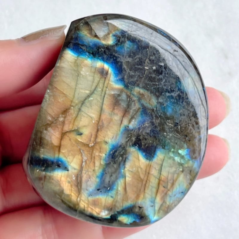 �ڥե�󥹡���ͤ����ǻ��ơۡ�Ķ���Сۥ�֥�ɥ饤�ȡ������С��֤��Сˡ�NO.1