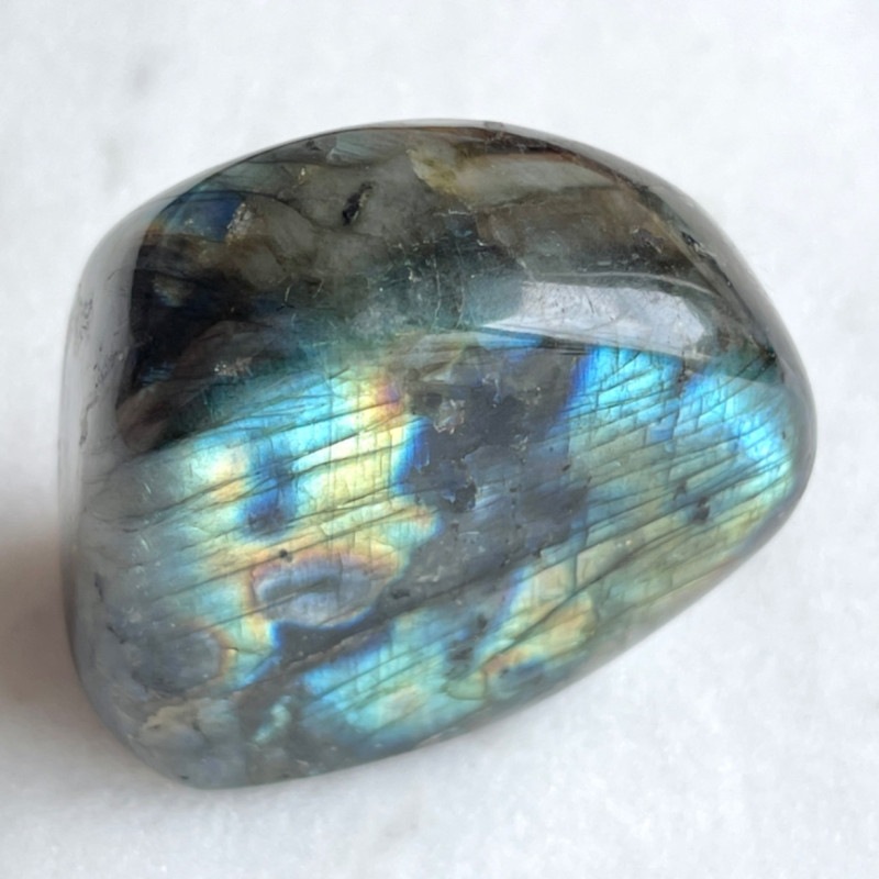 �ڥե�󥹡���ͤ����ǻ��ơۡ�Ķ���Сۥ�֥�ɥ饤�ȡ������С��֤��Сˡ�NO.3