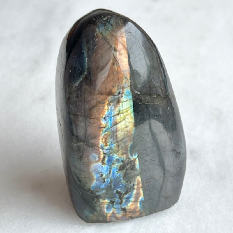 �ڥե�󥹡���ͤ����ǻ��ơۡ�Ķ���Сۥ�֥�ɥ饤�ȡ������С��֤��Сˡ�NO.4