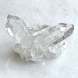 Ķ쥢ۡĶСۥߥʥ饤徽饹ʥ֥徽ˡʥѥ/ե塼㡼󥯡ˡʥɥˡʥ֥åˡ5891