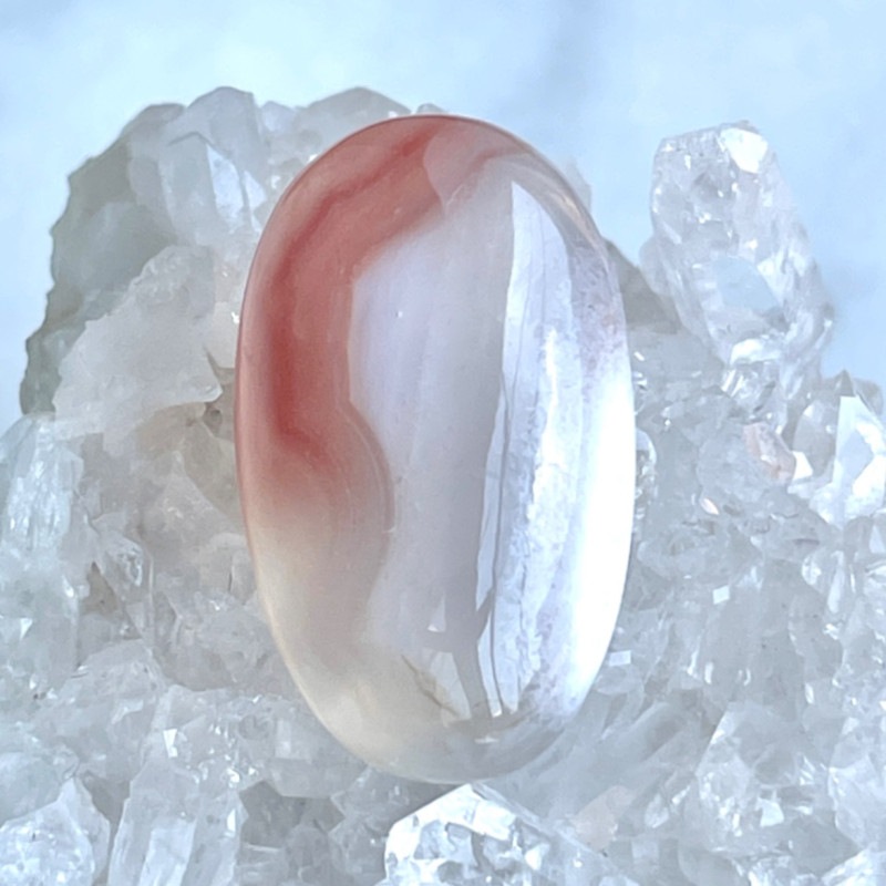 �����С�����ʥ����꡼���顼�ˡ�����֥롡5999��