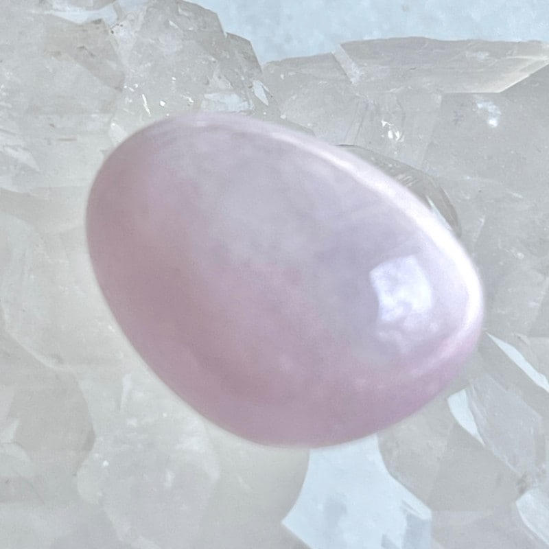 �����Сۥʥ������ꥢ��������åĥ�������ĥ����ȡ�����֥롡�ʥݡ����դ��ˡ�6023