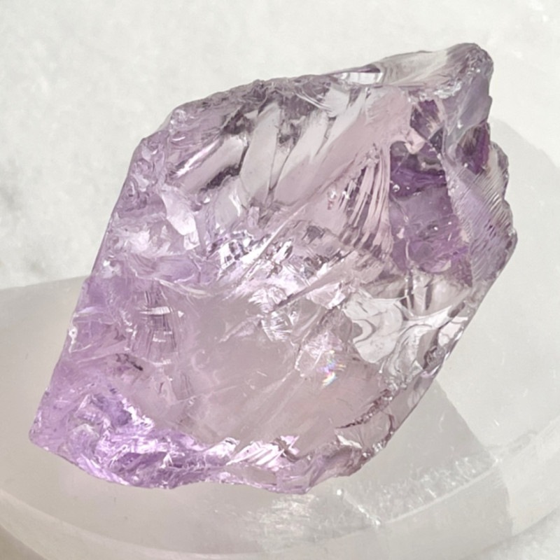 �ڥߥ�٥�����ˤƥ����塼���ȡۡ�Ķ���Сۥ��������ɡ��ե�󥹡����᥸���ȡ����Х��åȡ�����֥롡6216