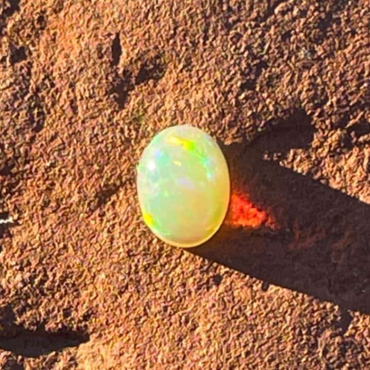 �����ϥ��ɥʤǥ����塼���ȡۡ����м��ۡڥ롼������ۥ������ԥ������ѡ��롡�롼�������Сˡ��������Ĥ���6363