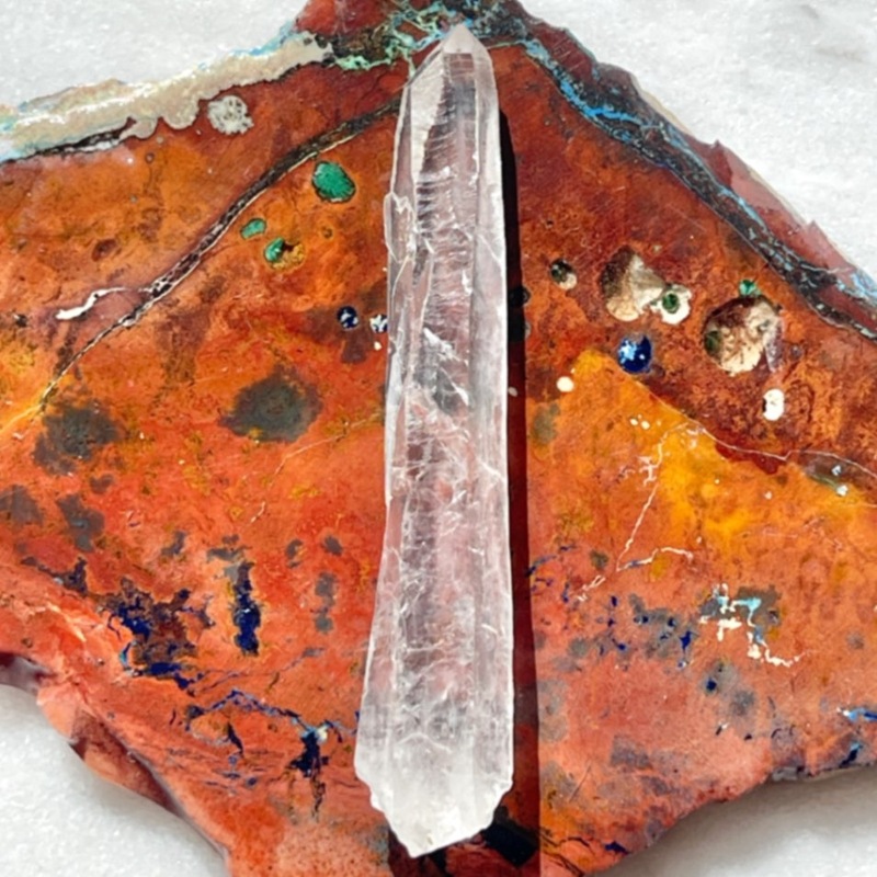 �����ϥ��ɥʤǥ����塼���ȡۡ����Сۥ��ꥢ�󥷡��ɡ��徽���ݥ���ȡ�NO.2��6390