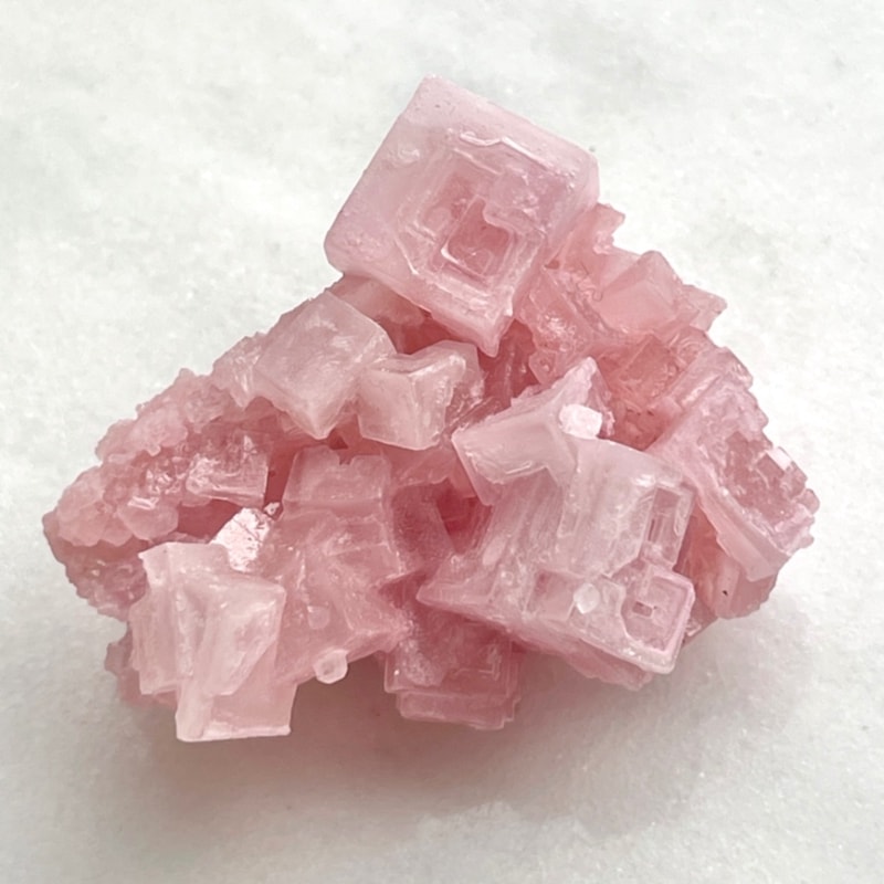 �ڿ����ʡۡ�Ķ���Сۥϡ��饤�ȡ����С�6483