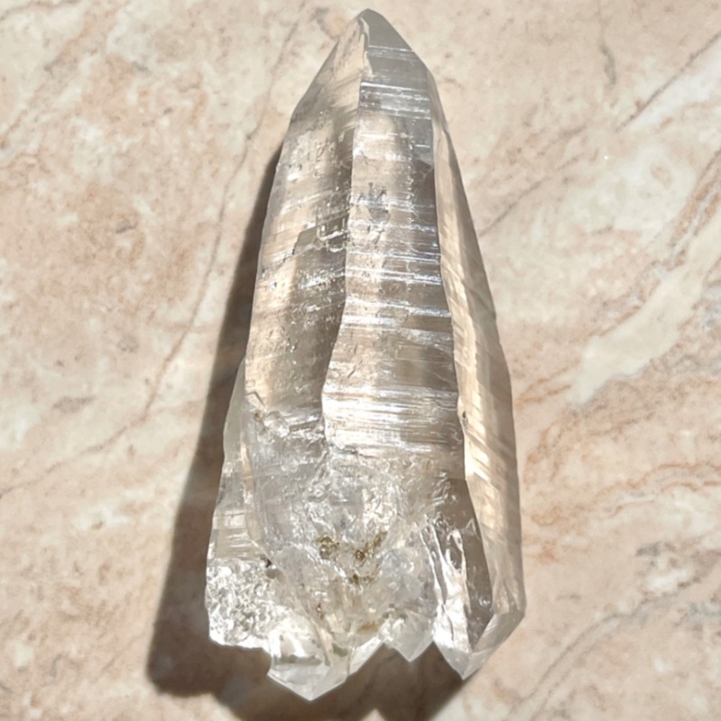 �������ۡڸ���ۥ�����ӥ��������ꥢ�󥷡��ɥ��ꥹ����ʥ��ꥢ��徽�ˡ�6517