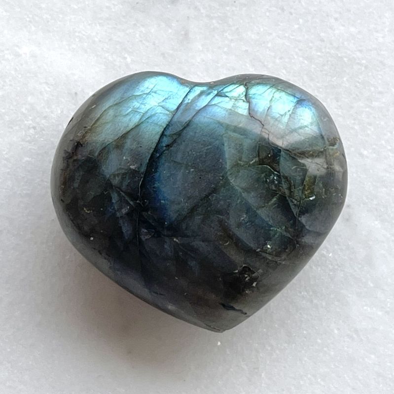 ��������ۡڥġ�����Ķ���Сۥ�֥�ɥ饤�ȡ������Сʥ���֥�ˡ�6595