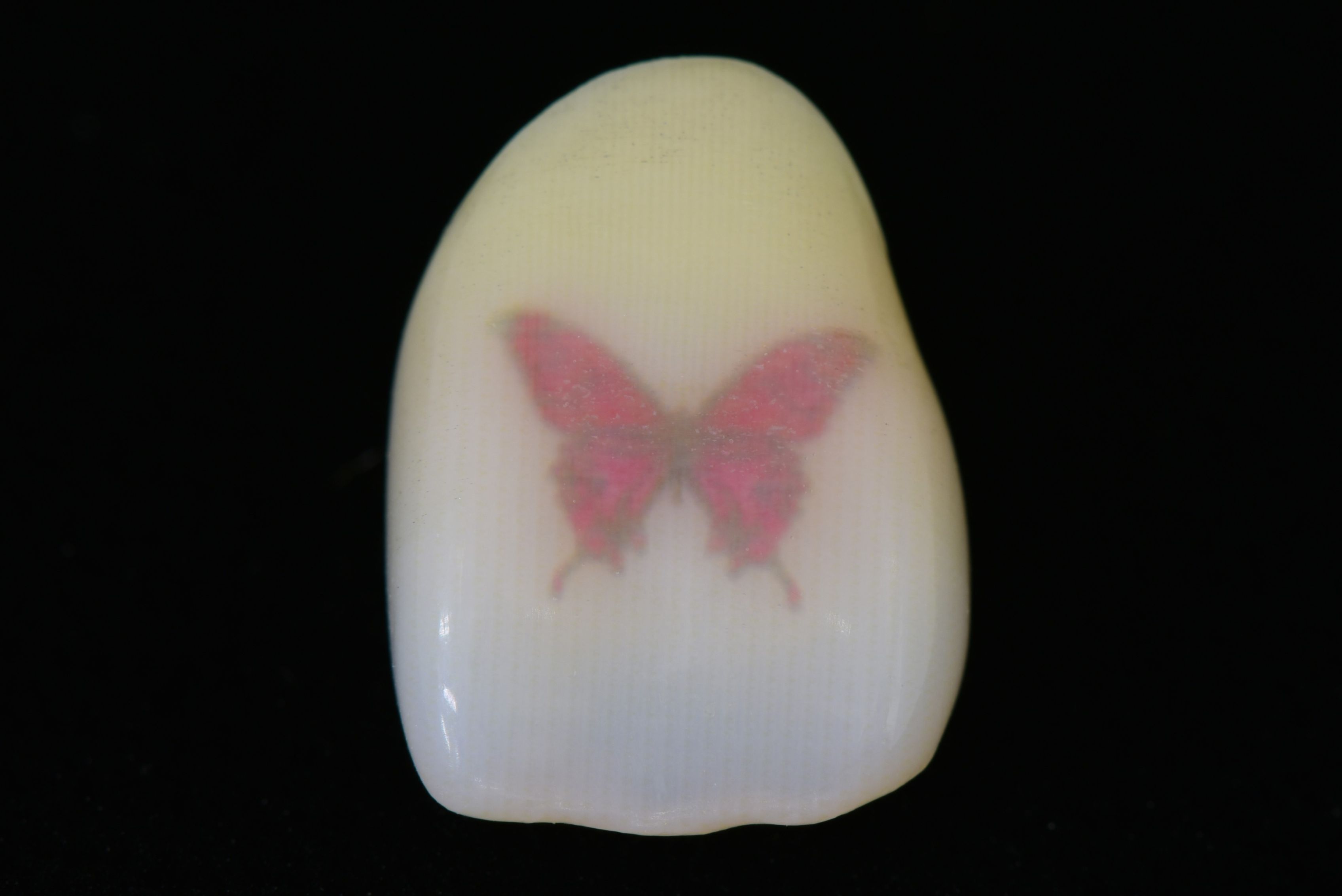 フリッター（蝶々）