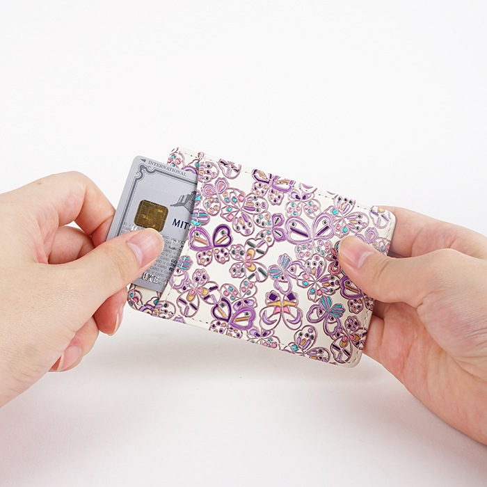 ͧʸ Papillon ꡼դѥ