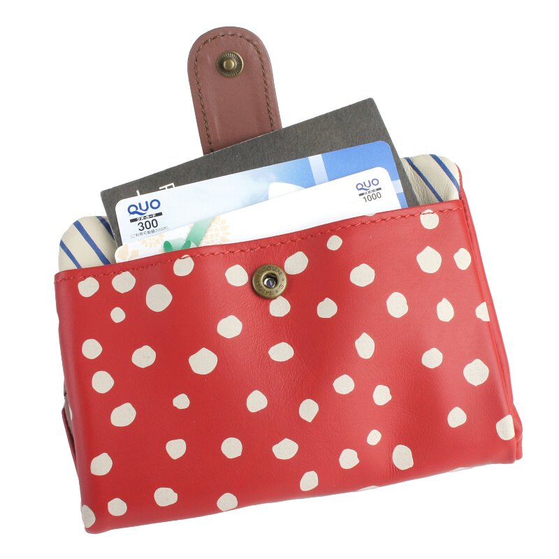 ����ޤ���� ���޸� ������ �ϳ� �ܳ� �������� �ɥå� ���襤�� ���奯�� pacca pacca