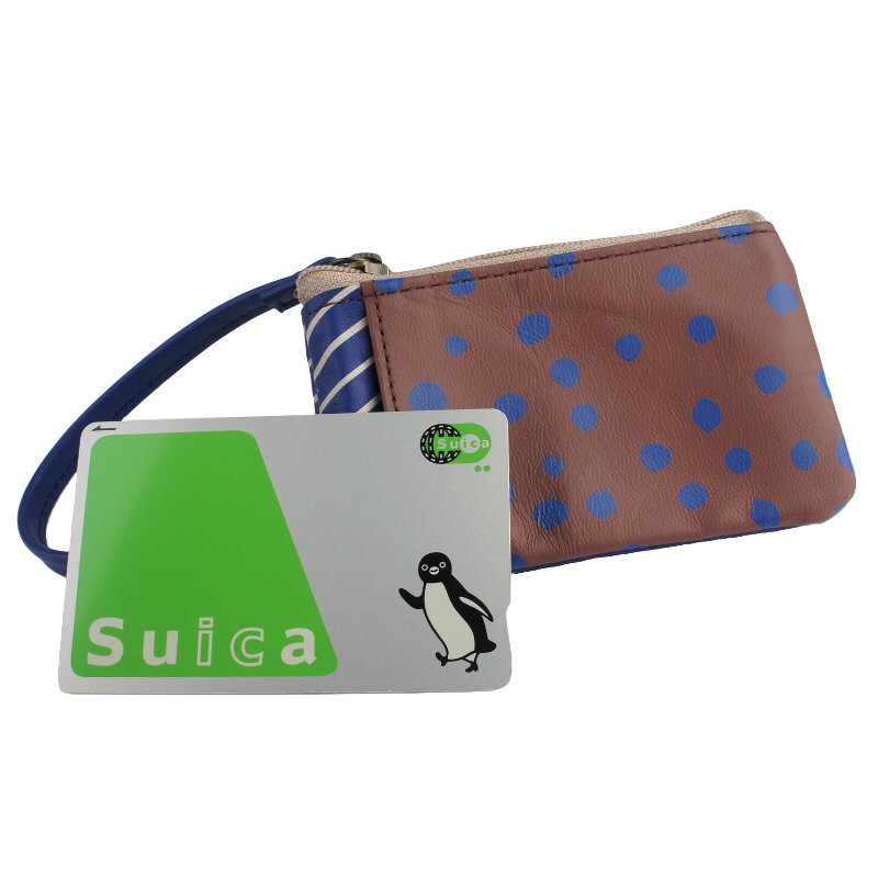 小物 paka Zip Clutch