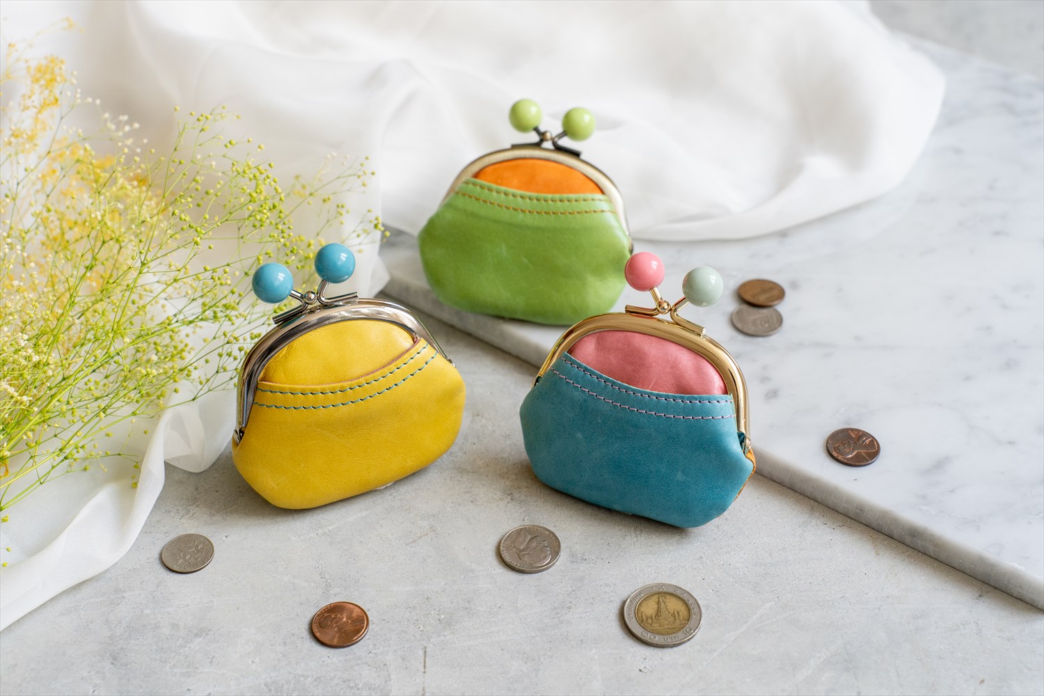 ����꤬�������ޥ����Ǥ���ڥ������४���������եȡۡ�paccapacca�ߥ������४��������2.5�������޸��������� 62110GIFT