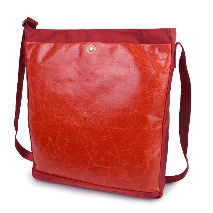 paccapacca �ץ�å� ���������Хå�