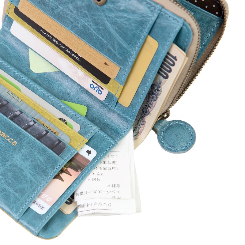 paccapacca ���ե�饦��ɥե����ʡ� ����ޤ����