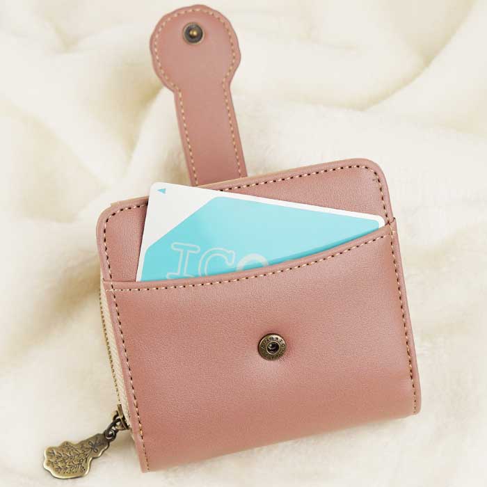 SHANFFY �饦��ɥե����ʡ�����ޤ����