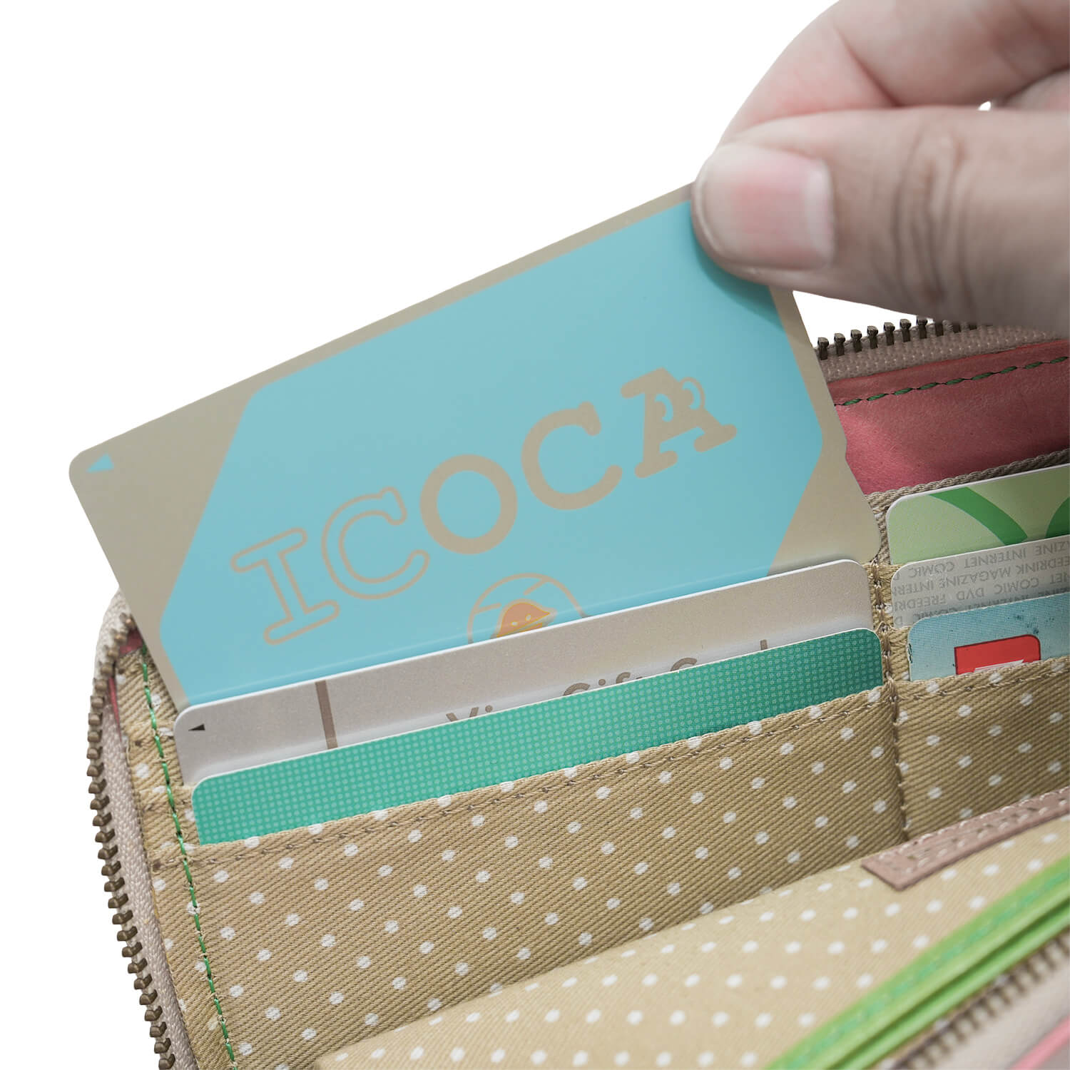 paccapacca �����ǥ� L���ե����ʡ�Ĺ����