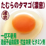 たむらのタマゴ(濃密)30個