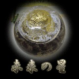未来の星