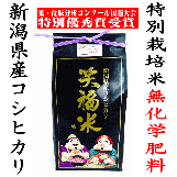 【特別優秀賞受賞】笑福米 新潟県産コシヒカリ5キロ